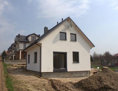 IMG 3516